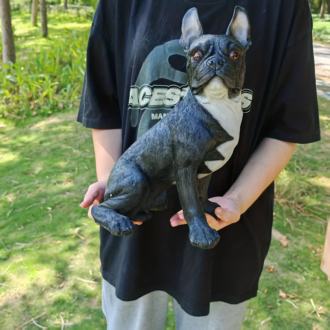 Large French Bulldog/Boxer