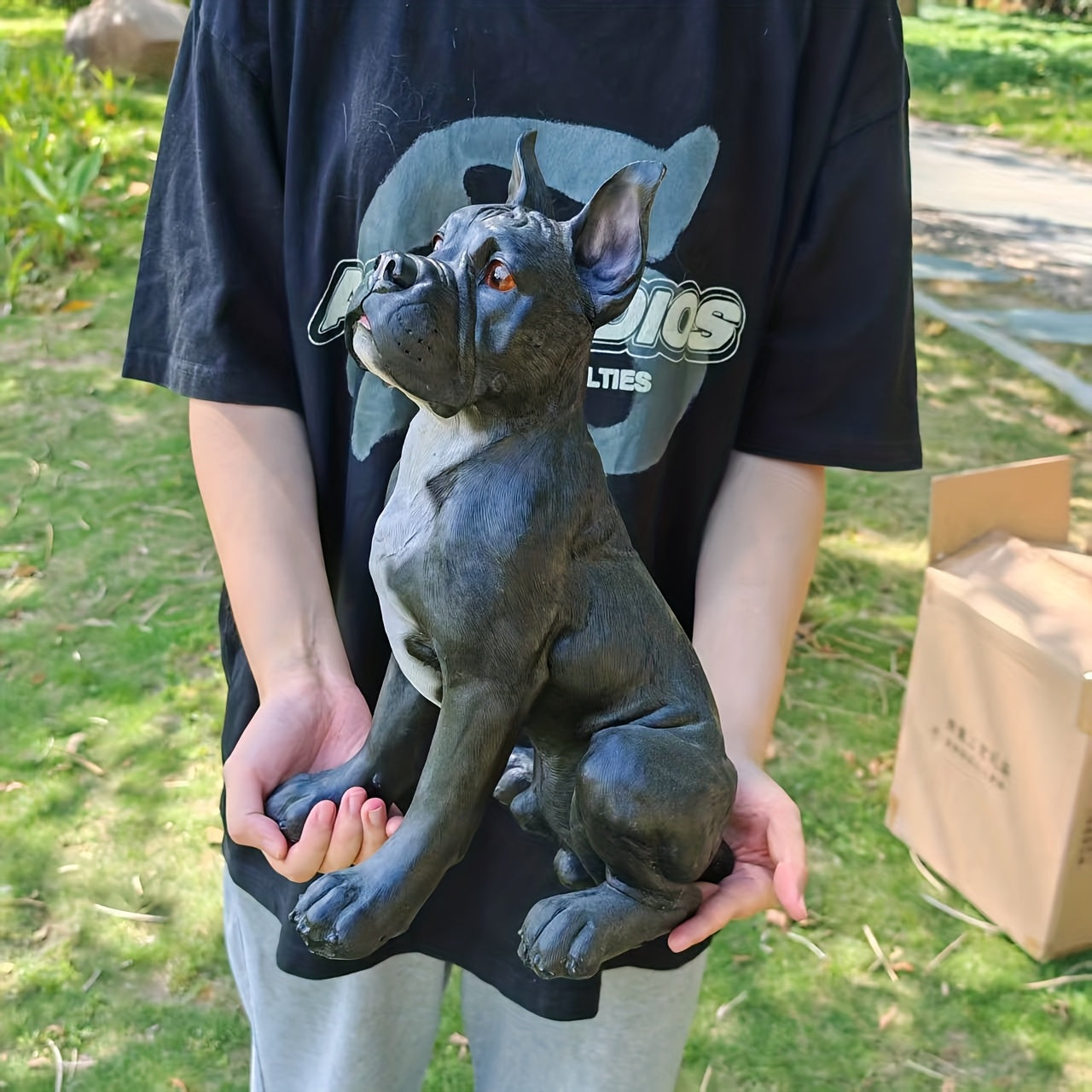 Large French Bulldog/Boxer