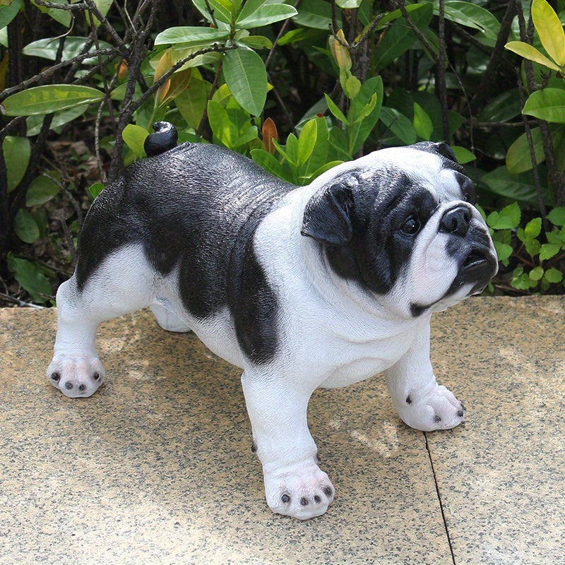 Extra Large French Bulldog