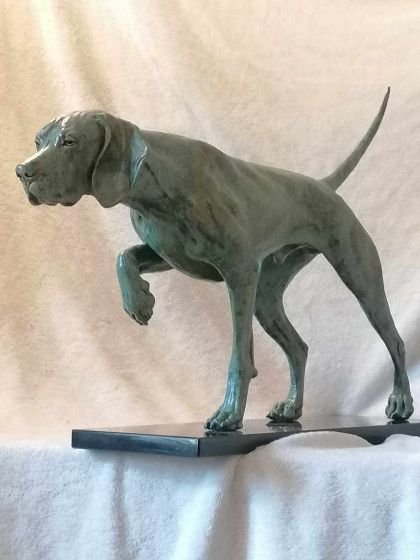 On Point Hungarian Vizsla Cold-Cast Bronze Sculpture – 65cm Sporting Dog Statue