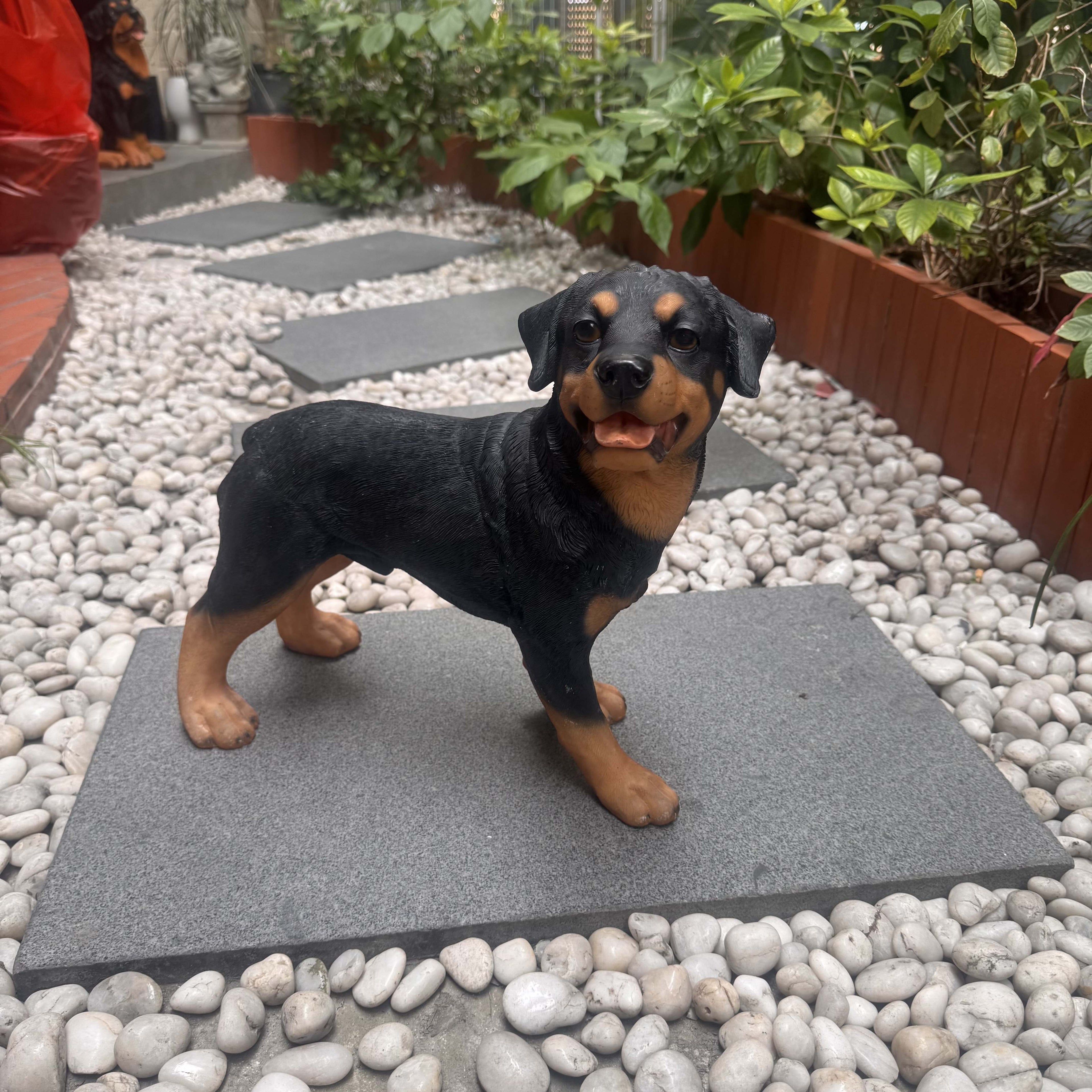Realistic Rottweiler Statue