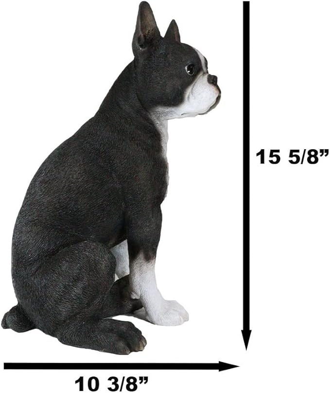 Large Lifelike Boston Terrier