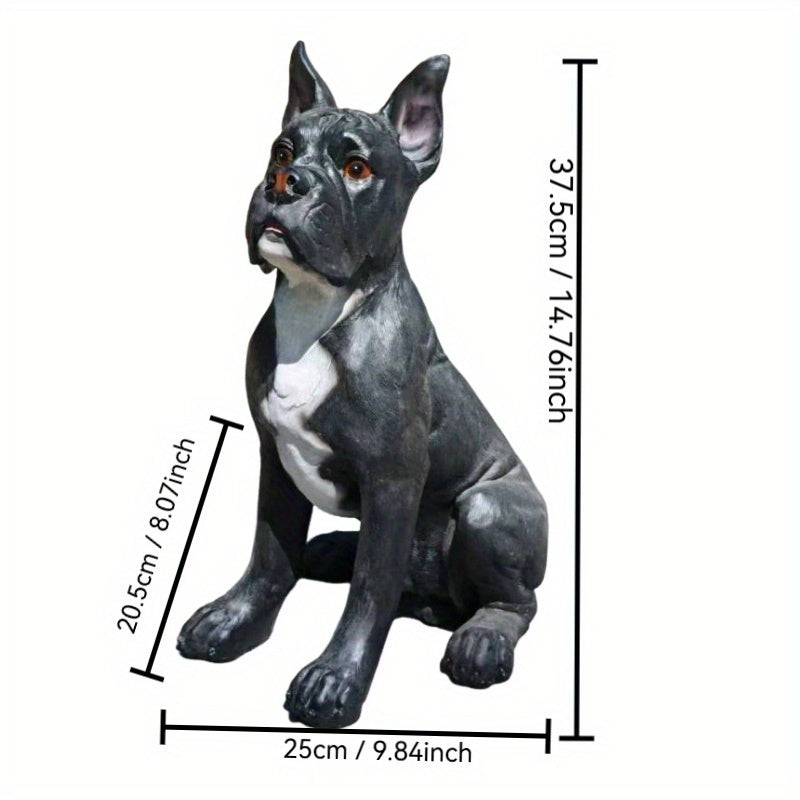 Large French Bulldog/Boxer