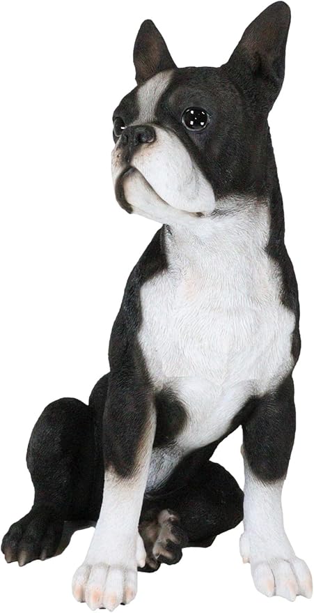 Large Lifelike Boston Terrier
