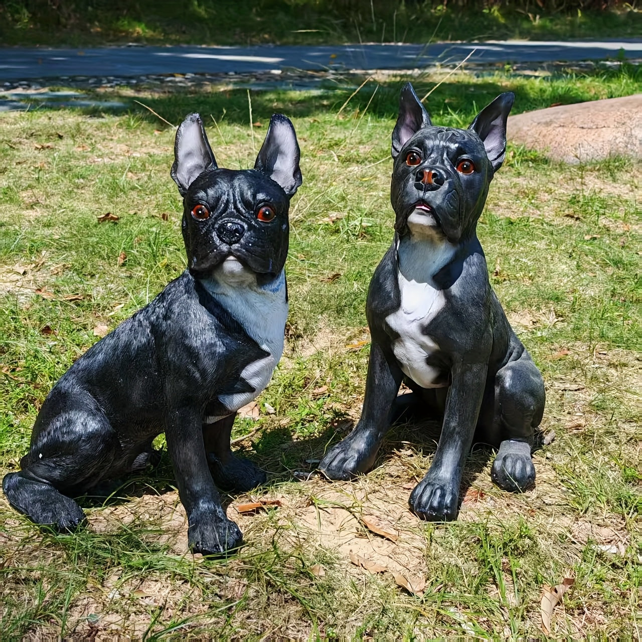 Large French Bulldog/Boxer