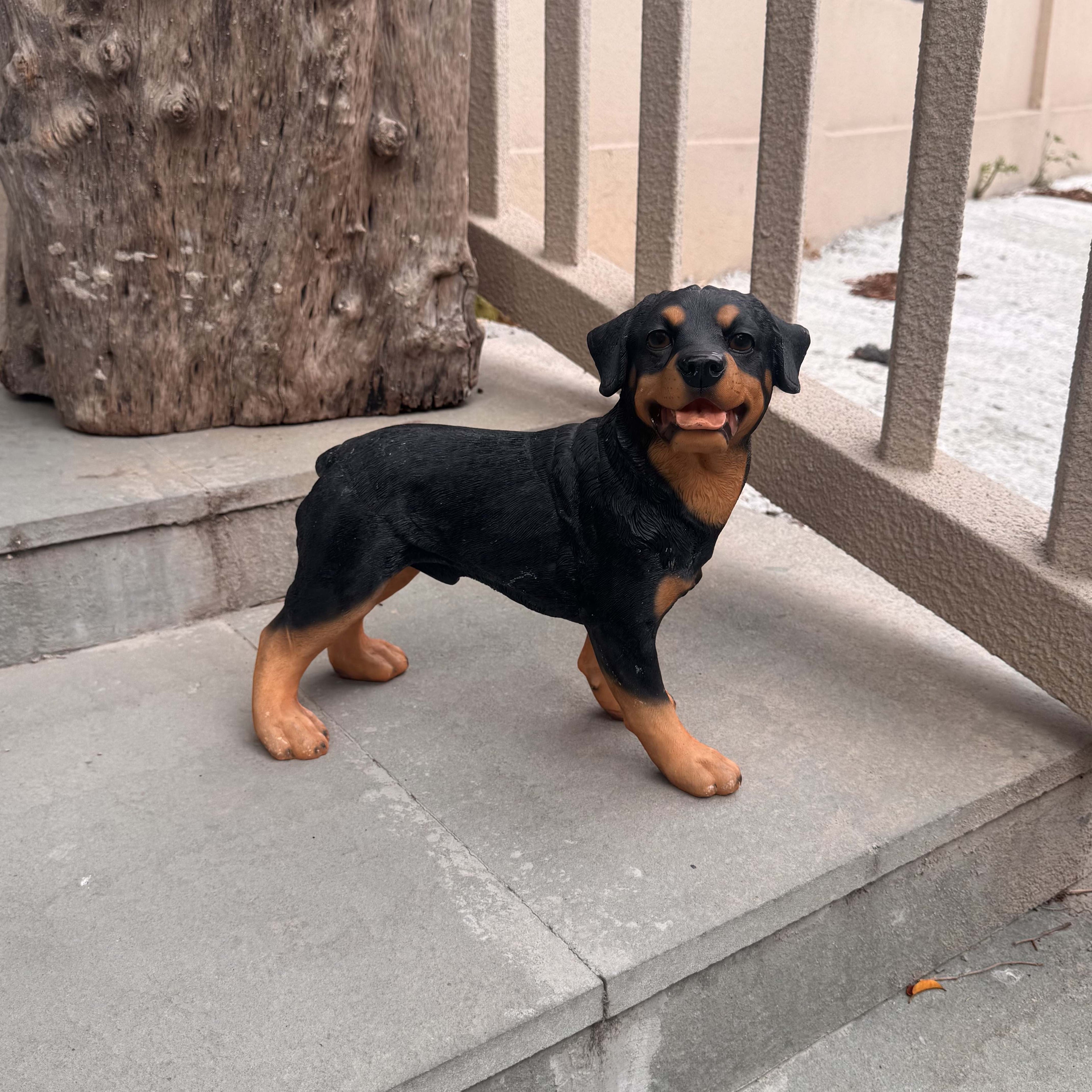 Realistic Rottweiler Statue