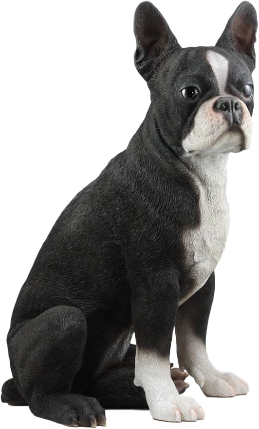 Large Lifelike Boston Terrier