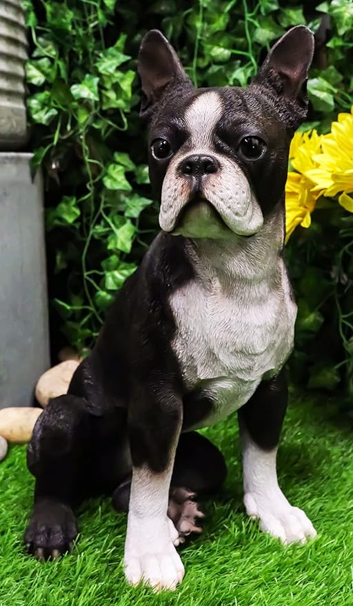 Large Lifelike Boston Terrier