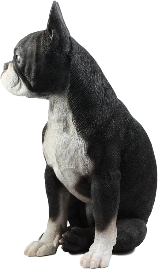 Large Lifelike Boston Terrier