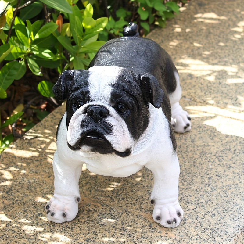 Extra Large French Bulldog