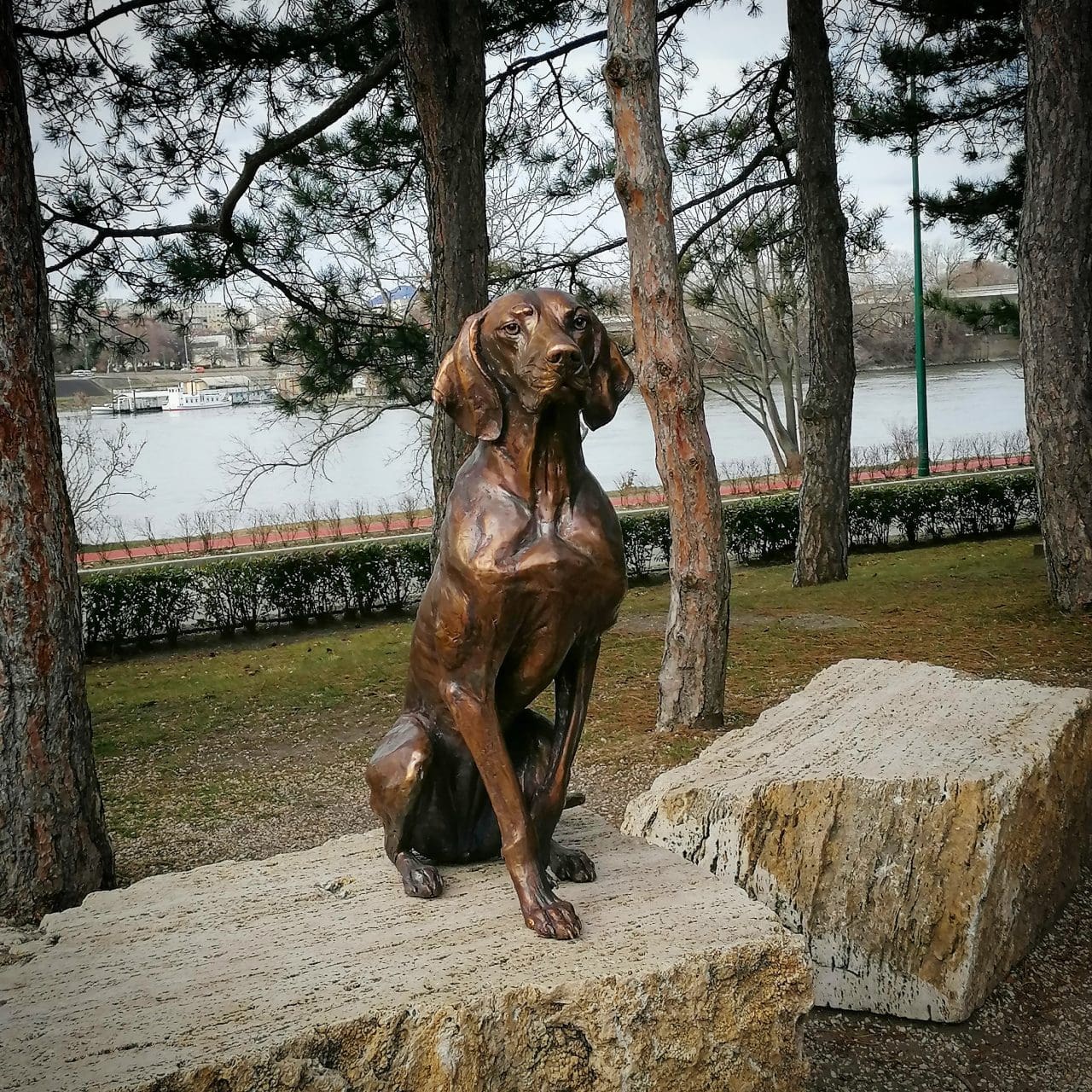 To-Scale Bronze Vizsla Sculpture –  (Only 4 Pieces)