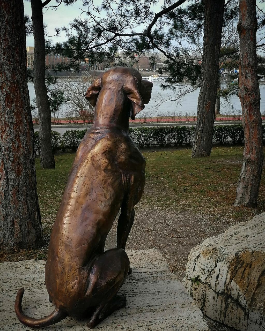 To-Scale Bronze Vizsla Sculpture –  (Only 4 Pieces)