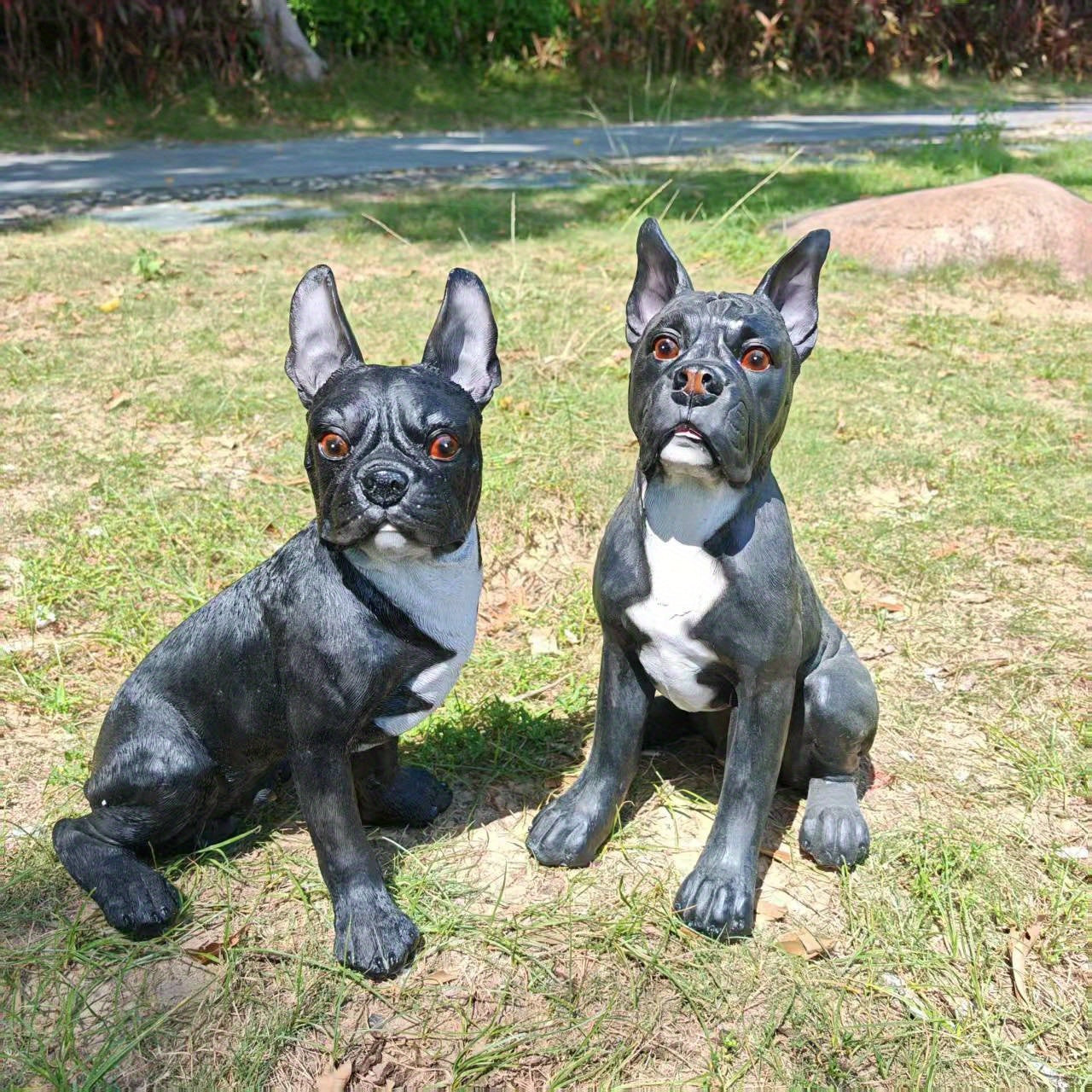 Large French Bulldog/Boxer