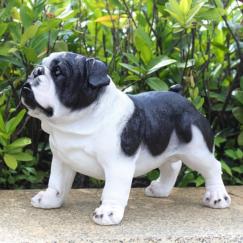 Extra Large French Bulldog