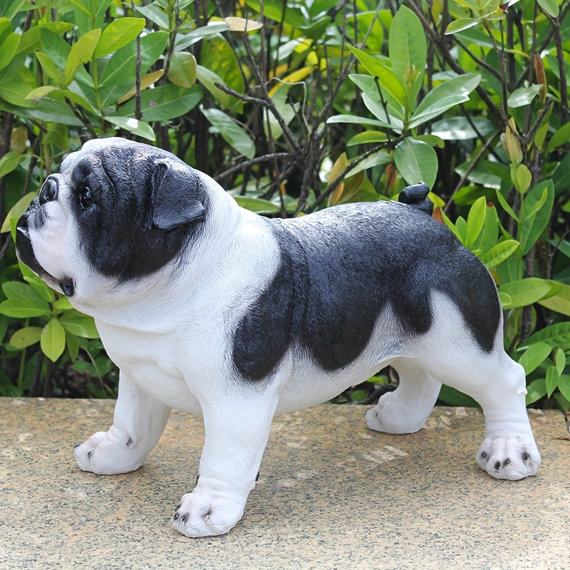 Extra Large French Bulldog