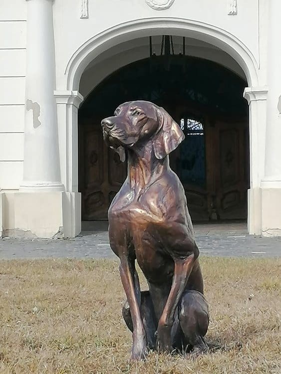 To-Scale Bronze Vizsla Sculpture –  (Only 4 Pieces)