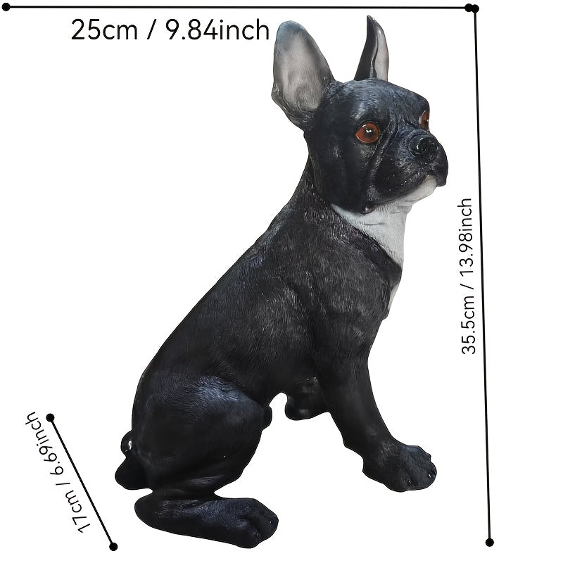 Large French Bulldog/Boxer