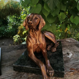 Majestic Lying Hungarian Vizsla Bronze Statue