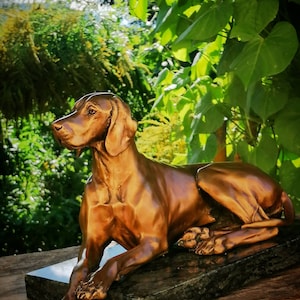 Majestic Lying Hungarian Vizsla Bronze Statue