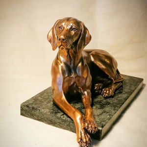 Majestic Lying Hungarian Vizsla Bronze Statue