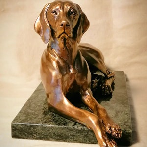 Majestic Lying Hungarian Vizsla Bronze Statue
