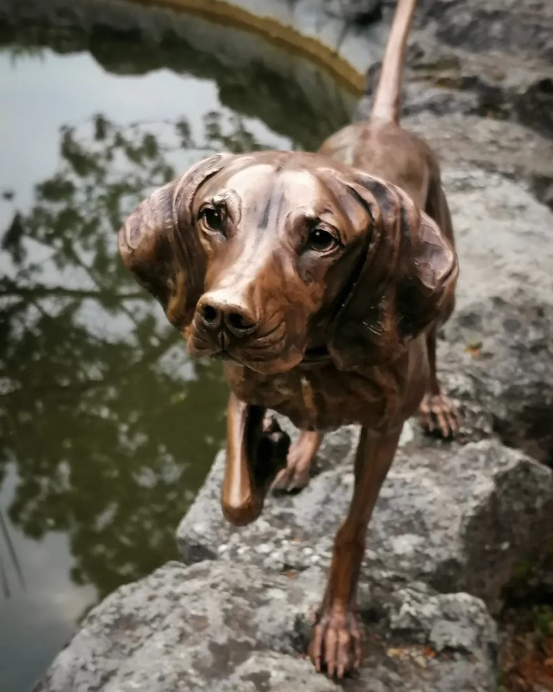 Hungarian Vizsla Solid Bronze Sculpture & Memory Capsule