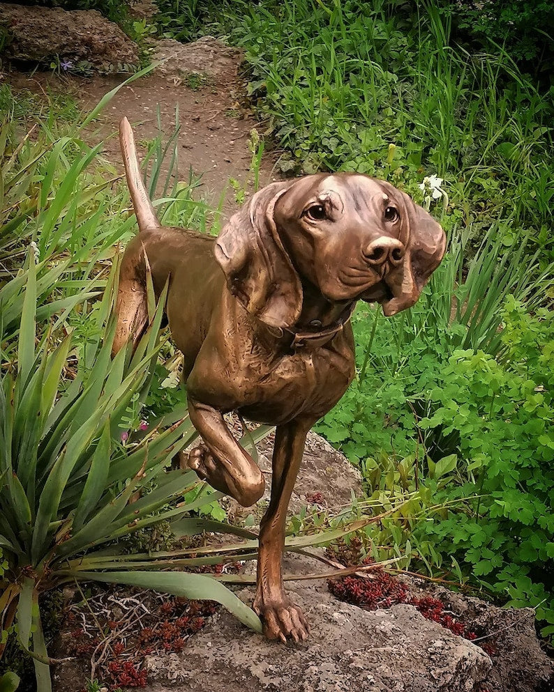 Hungarian Vizsla Solid Bronze Sculpture & Memory Capsule